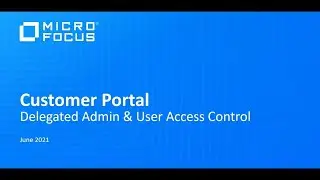 Customer Portal - Delegated Admin and User Access Overview