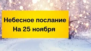 Небесное послание на 25 ноября. Жизненные уроки.