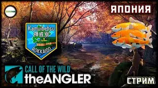 THE ANGLER: CALL OF THE WILD - HOKKAIDO. KAMUIBETSU. ЯПОНИЯ. СТРИМ. #23