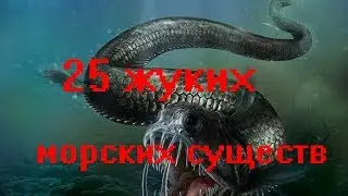 25 ЖУТКИХ МОРСКИХ СУЩЕСТВ В КОТОРЫЕ ТРУДНО ПОВЕРИТЬ