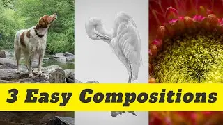 3 Easy Photography Composition Techniques for Beginners