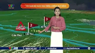 Dự báo thời tiết Tây Nam Bộ ngày mai 03/11/2024 | VTVWDB