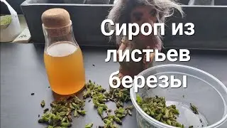 Сироп из листьев березы. Мощь березы для здоровья.