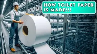 How Toilet Paper is Made | Factorify