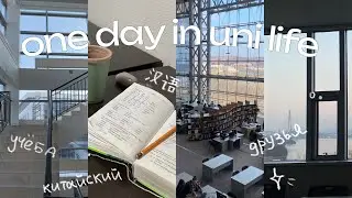 study vlog: китайский, учеба, друзья