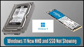 Windows 11 New HHD and SSD not Showing Up