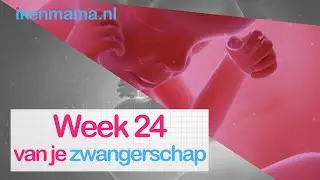 24 weken zwanger | ikenmama.nl