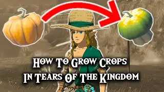 How To Grow Crops In Tears Of The Kingdom (Plus Sun Pumpkin)