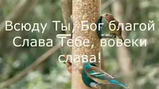 Вижу Бога Каждый день/I see God Every day