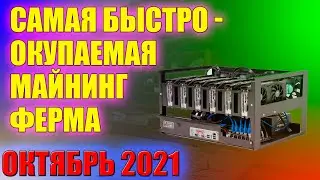 Лучшая майнинг ферма на октябрь 2021 года из МАГАЗИНА | Собираем актуальную майнинг ферму