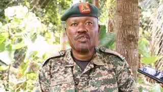 OPERATION AGAINST ADF: UPDF sends more troops, equipment to eastern DRC