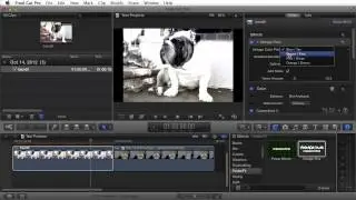 FREE FCPX Effect - Vintage Plus Effect for Final Cut Pro X (FCPX)