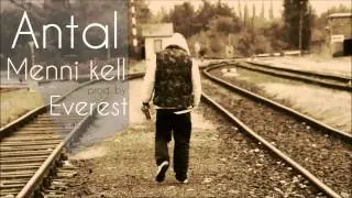 Antal - Menni kell