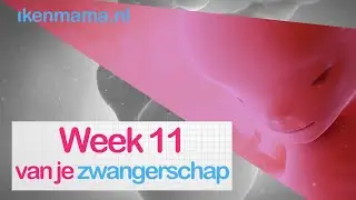 11 weken zwanger | ikenmama.nl