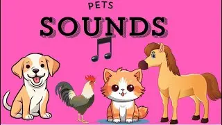 Pet sounds/what pets look like!