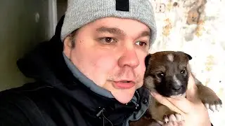 Тутусики ляпатусики
