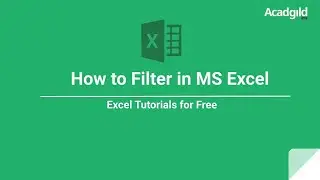 How to Filter in Excel | Using Basic Filters in MS Excel | Sort and Filter Functions in Excel 4