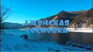 ✅ Перевал и Джойская сосновка! Siberian nature