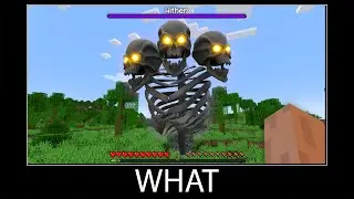 Minecraft wait what meme part 152 realistic minecraft wither