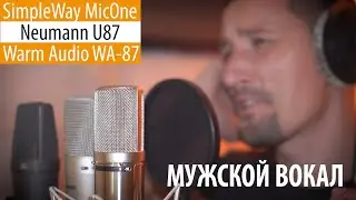 Simple Way MicOne - Neumann U87 - Warm Audio WA-87 (мужской вокал)