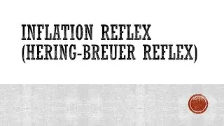 Inflation Reflex (Hering-Breuer Reflex)