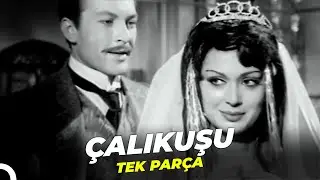 Çalıkuşu | Türkan Şoray Yeşilçam Filmi Tek Parça