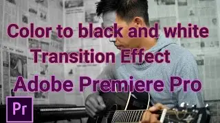 Color to Black and White Transition Effect - Adobe Premiere Pro Tutorial