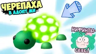 TURTLE in adopt mi !! new pet game adopt mi in roblox! Volume 5 of bed ideas in adopt me