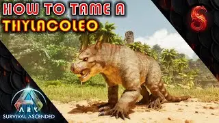 ARK SURVIVAL ASCENDED HOW TO TAME A THYLACOLEO [3 OF THE BEST TRAPS]