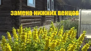 Замена гнилых бревен в деревенском доме.