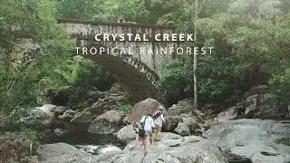 Beautiful Tropical Rainforest! - Crystal Creek Adventure