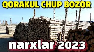BUXORO QORAKUL/CHUP BOZOR NARXLAR 2023/БУХОРО КОРАКУЛ ЧУП БОЗОР/JONDOR UZ