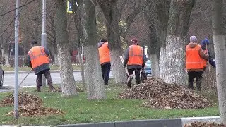 Уборка листьев до первого снега