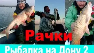 Рыбалка на Дону видео часть 2 самые уловистые места Рачки
