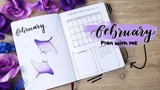 FEBRUARY 2021 BULLET JOURNAL PLAN WITH ME l STINGRAY THEME