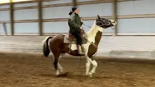 Horse Takes Over when Riding