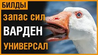 ТЕСО: ХРАНИТЕЛЬ (ВАРДЕН) ЗАПАС СИЛ |УНИВЕРСАЛЬНАЯ СБОРКА|