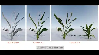 Lumion - LimeExporter | T&T | 3Dsmax to Lumion With No Lime, Lime v1, Lime v2 (TREE)