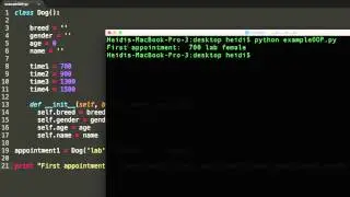 OOP:  Creating Classes and Objects in Python