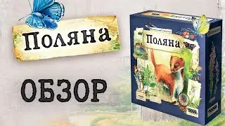 Поляна: Обзор