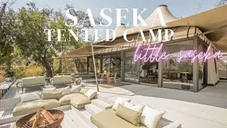 ULTRA LUXURIOUS Tented Camp in Kruger National Park -  FULL TOUR