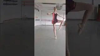 fouettes @lgballet_laura_gregory