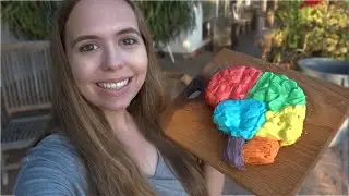 Making a Brain Cake! 🧠