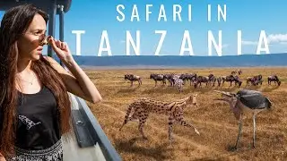 You Won't Believe What Happened on our Tanzania Safari (Ngorongoro Crater)