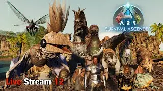 Ark Survival Ascended | Just a Chill Session | Livestream Ep12