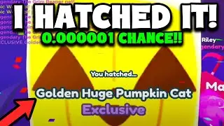 😱I HATCHED GOLDEN HUGE PUMPKIN CAT! *GLITCH* | Pet Simulator X