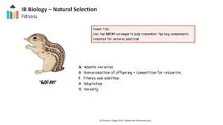 Natural Selection [IB Biology SL/HL]