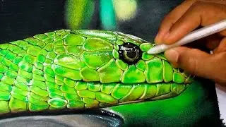 How to Draw a Realistic Snake | Time Lapse