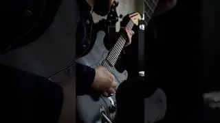 Strat Chugs - Raw Riffs 