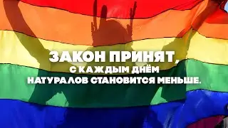 В Эстонии узаконили однополые браки